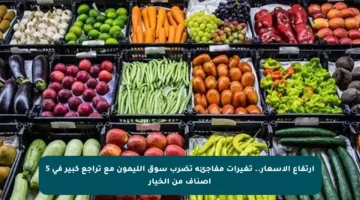 ارتفاع الأسعار.. تغيرات مفاجئة تضرب سوق الليمون مع تراجع كبير في 5 أصناف من الخيار
